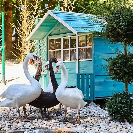 Quinta Do Lordelo Séjour à la ferme *