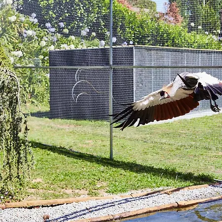 Quinta Do Lordelo Alloggio per agriturismo