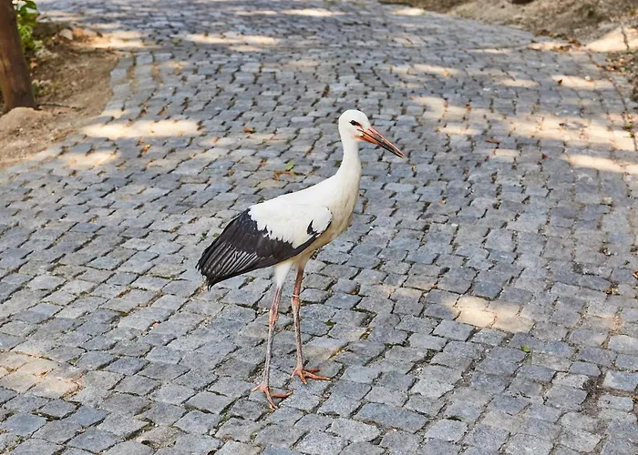 Quinta Do Lordelo Penafiel