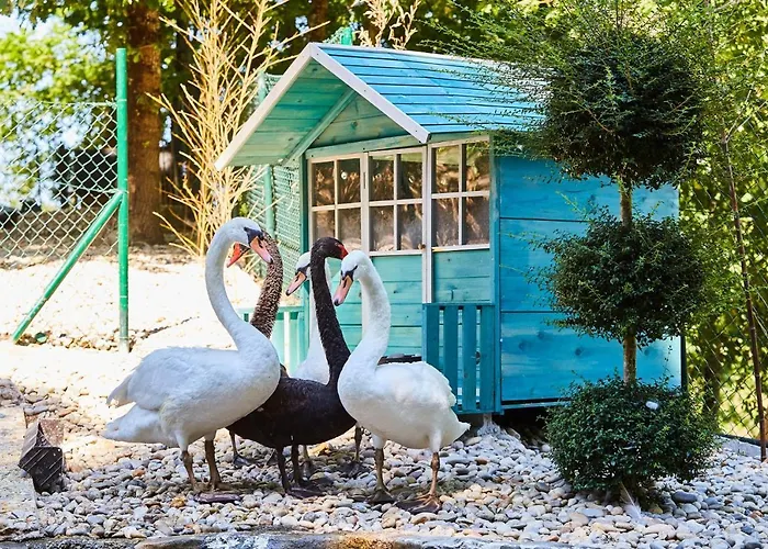 Quinta Do Lordelo Farm stay *