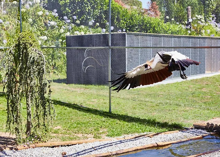 Quinta Do Lordelo Farm stay