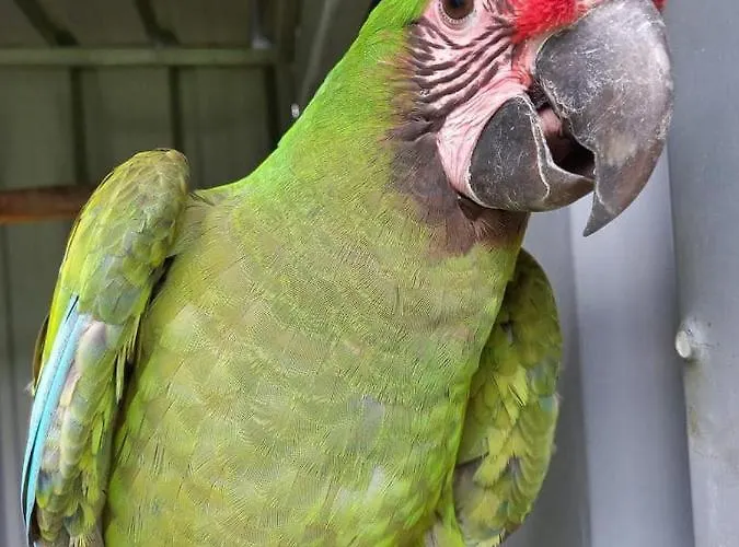 Quinta Do Lordelo * Penafiel