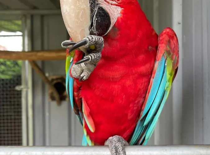 Vakantieboerderij Quinta Do Lordelo *